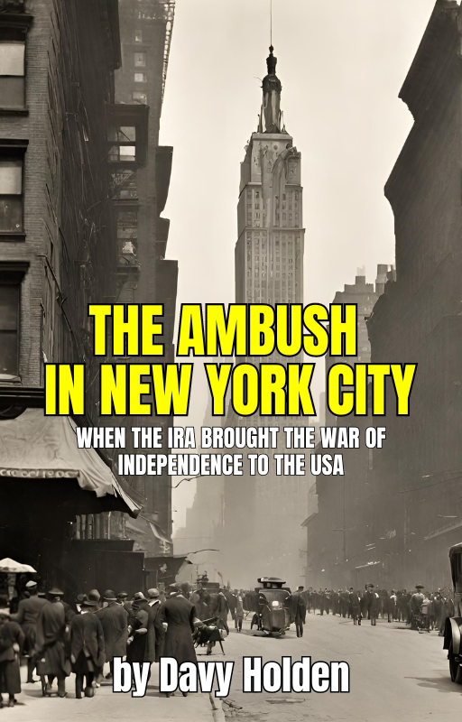 The Ambush In New York City (E-Book)